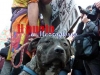 indignati-roma-05