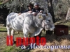 valvori-s-antonio-abate-05