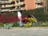 8-marzo