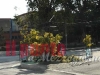 8-marzo-3