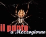 ragno.jpg