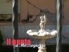 dscn1779