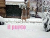 neve-lanciano15
