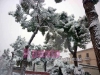 neve-lanciano16