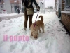neve-lanciano18