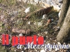 ordigno_bellico_014