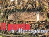 ordigno_bellico_019
