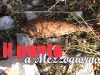 ordigno_bellico_020