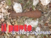 ordigno_bellico_021