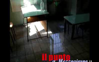 guarda il video