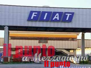 guarda il video