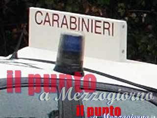 Litigano e si picchiano, cinque arresti per rissa