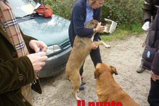 Ultimato lo sgombero del canile in via Agnone