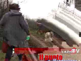 guarda il video