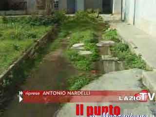 guarda il video