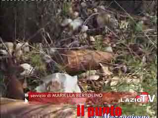 guarda il video