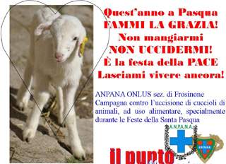 
Gli animalisti dell’Anpana: “Fermiamo la strage degli agnelli”
