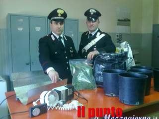 Coltivatore di droga in manette, era già stato arrestato il giorno del compleanno