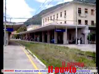 guarda il video