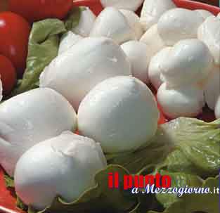 Maroni tenta di “scippare” la Mozzarella al sud