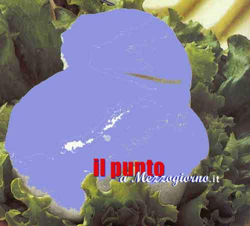 Mozzarella blu, 66 confezioni sequestrate dai carabinieri