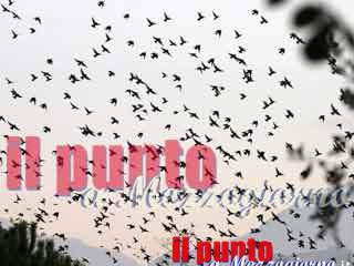 Denunciato “ladro” di uccelli, aveva rubato 20 cardellini a “madre natura”