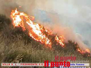 guarda il video