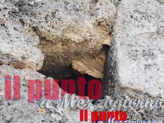 I calabroni “occupano” la cattedrale di San Bartolomeo
