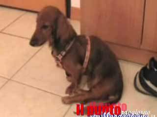 guarda il video