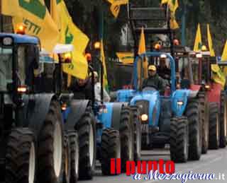 Fermati gli agricoltori, Prefetti e Questori dicono no al corteo che da Latina sarebbe arrivato a Roma