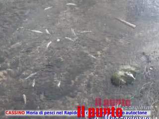 guarda il video