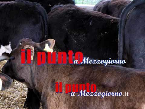 Primo maggio-Filippi (FederFauna), i nostri iscritti festeggeranno come sempre: lavorando
