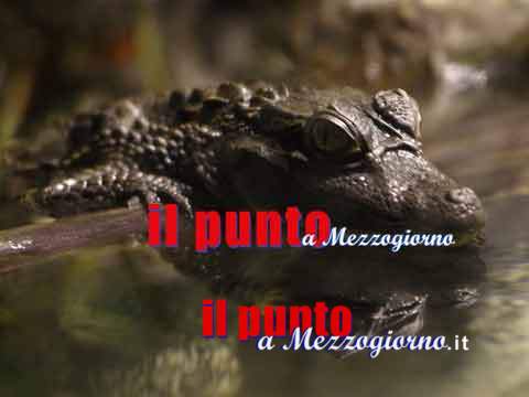 Fiere animali esotici, FederFauna per legalità e benessere animale