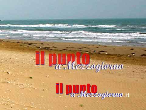 Spiagge per cani, se non ce le danno ce le prendiamo