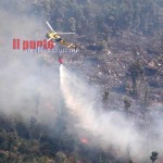 Incendi boschivi, floatta aerea dello stato in azione su 18 roghi
