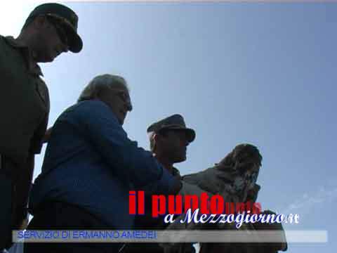 guarda il video