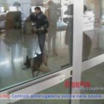 guarda il video