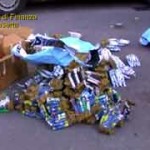 guarda il video