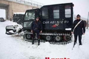 neve gatto carabinieri