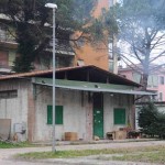 animali pelosi a 4 zampe 002