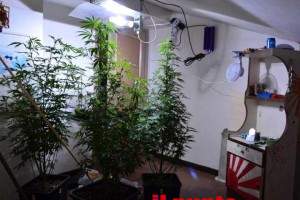 finanza-marijuana-terracina1