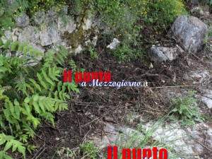 cinghiali-via-latina-01