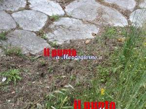 cinghiali-via-latina-03