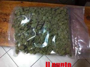 marijuana11