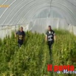 guarda il video
