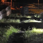 Anfiteatro e varie 057