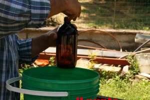 arpa-consulta-ambiente-piedimonte2