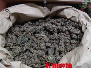 marijuana-cc-cisterna-di-latina-02