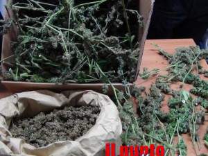 marijuana-cc-cisterna-di-latina-03