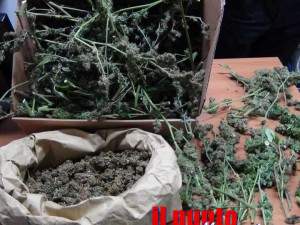 marijuana-cc-cisterna-di-latina-04